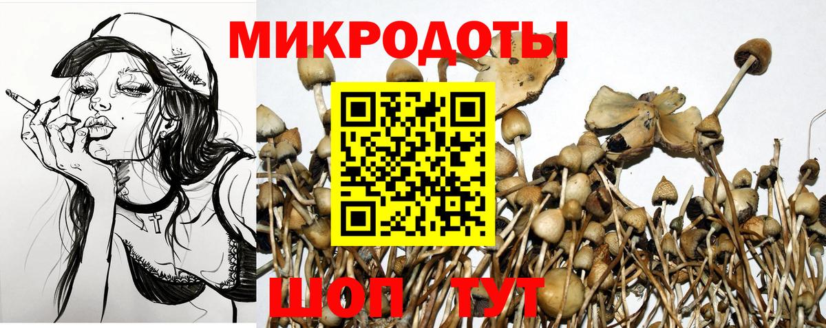 Псилоцибиновые грибы Psilocybe  Псилоцибиновые грибы Psilocybine cubensis  Вход с VPN  Канаш 